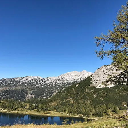 Alpenhaus Larchenwald *